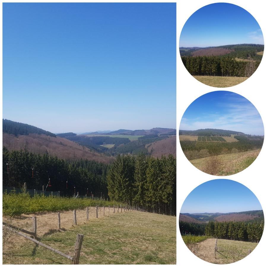 Ferienwohnung Parkblick Medebach Zewnętrze zdjęcie