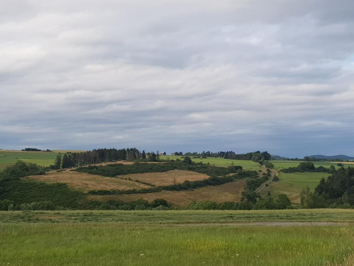 Ferienwohnung Parkblick Medebach Zewnętrze zdjęcie