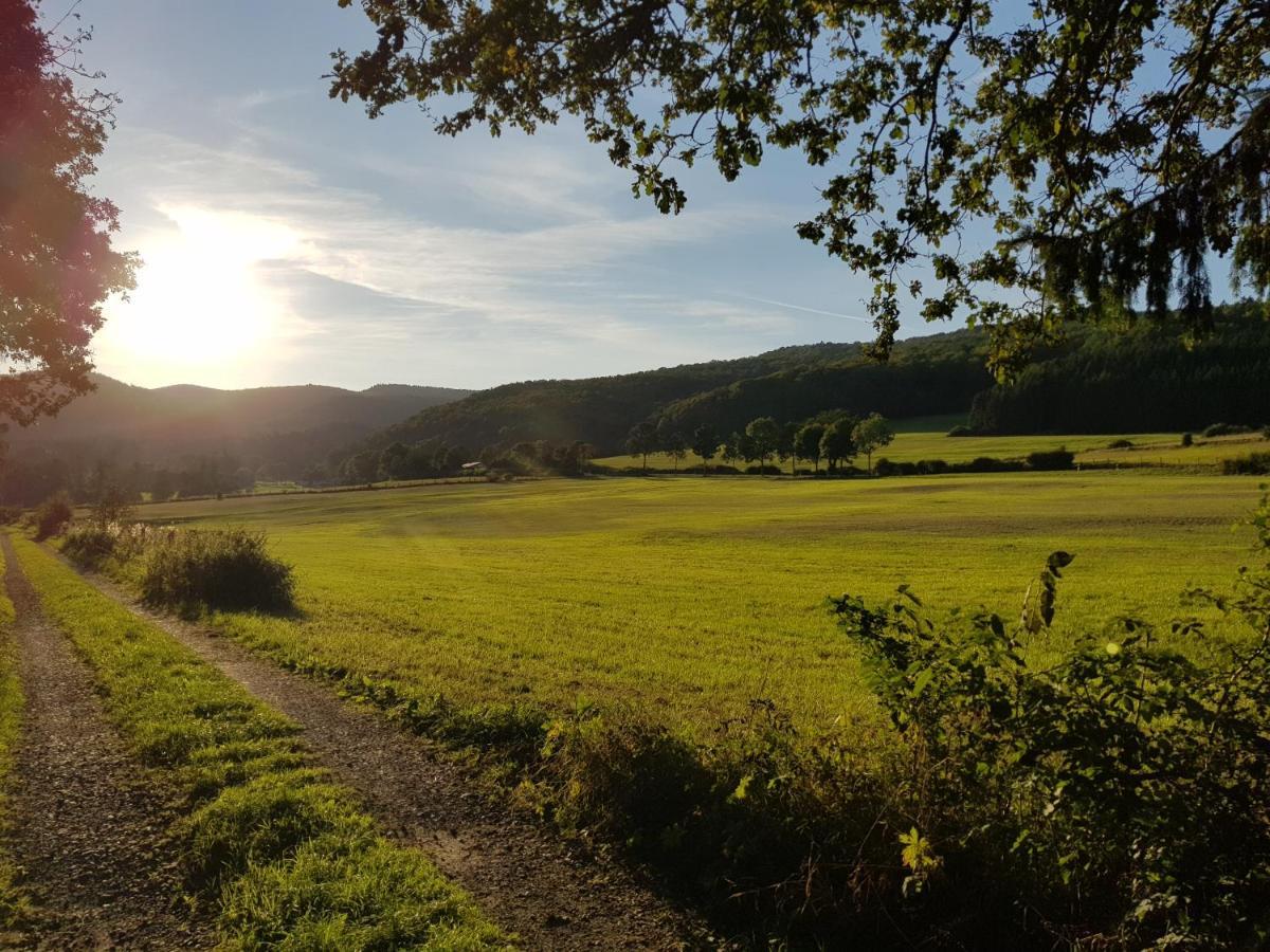 Ferienwohnung Parkblick Medebach Zewnętrze zdjęcie